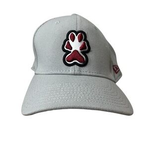 New Era 39 Thirty SIU Carbondale Salukis Fitted hat Gray Small/Medium